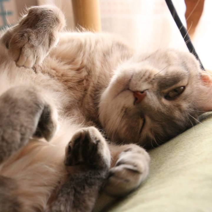 Dd28ac8b bf19 499f b880 026749a0bf7f 1554632982809