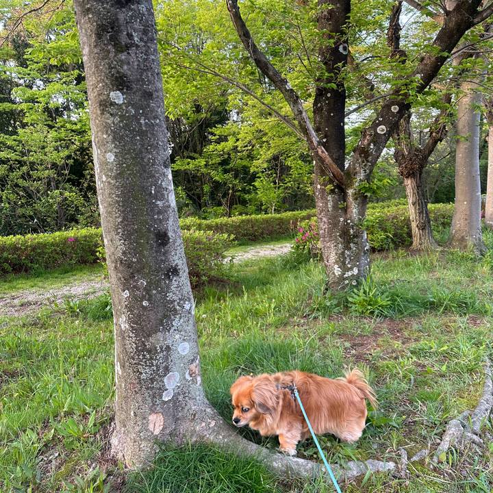 Dd28d2bf 2027 440c 86b8 9fcf5a733d1c 1681333067135