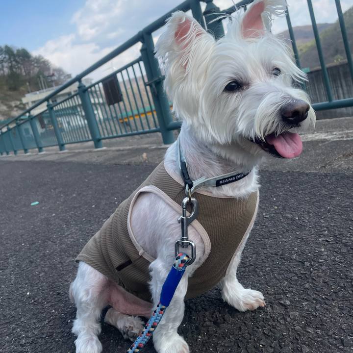 Dd28fd74 c398 4a88 a3d5 acca5e19f2f1 1745639364882