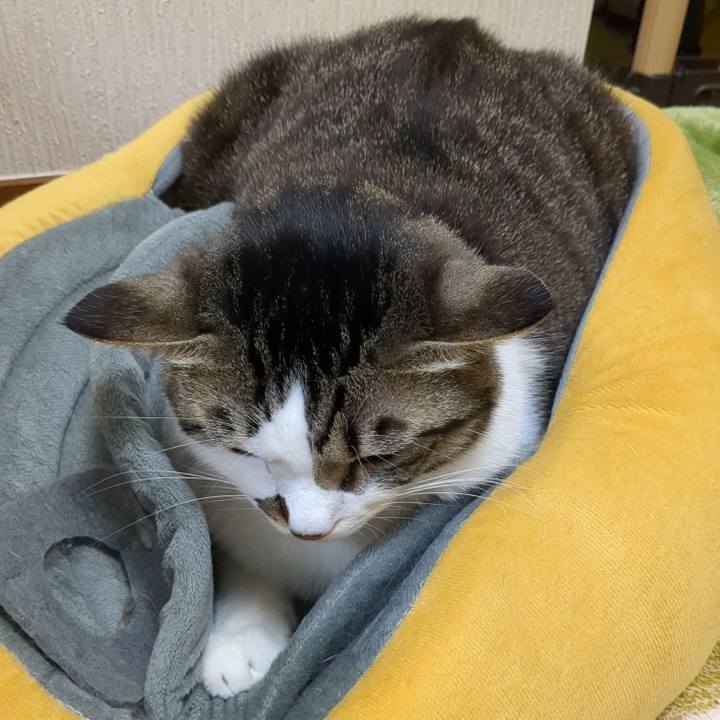 Dd290331 030b 4048 8fbd 939ee6ae8167 1679804952821