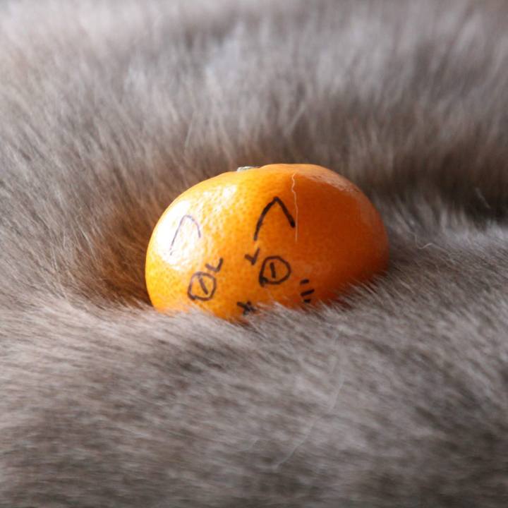 Dd2933d4 3341 454e b446 7e4b2c9ee978 1542453416182