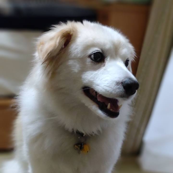 Dd296fd6 4810 4a2e a542 795f4e6218cf 1647294971892