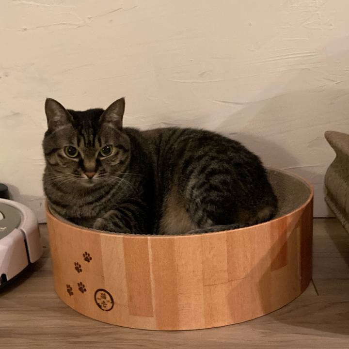 Dd2983e7 cdcd 4ca5 acca 2e877b0bbaf6 1644753524832