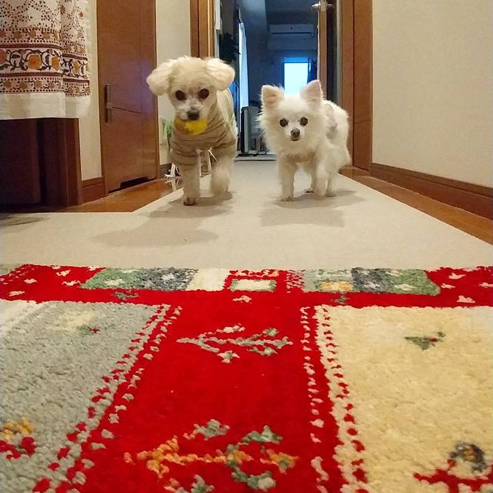 Dd29907f f2f6 4d9f 8efc d51f998db329 1665310701487