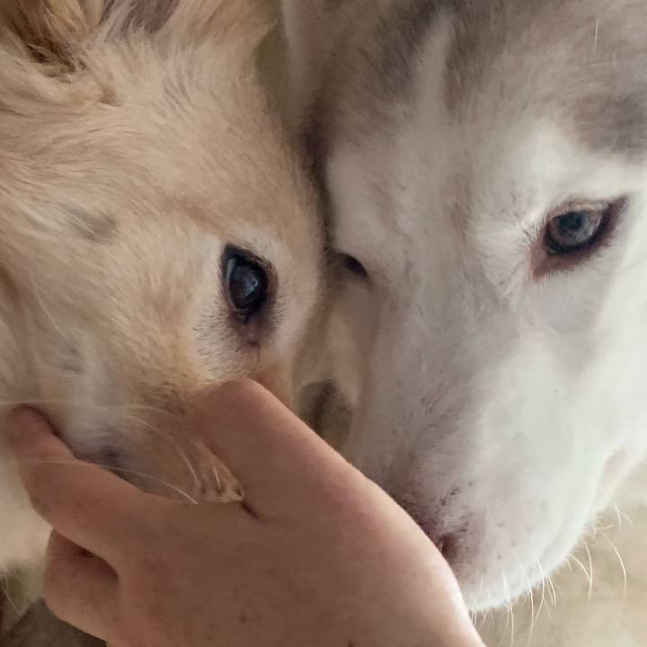 Dd299475 cb6e 4d78 ab68 b8008eb3247e 1580001337970