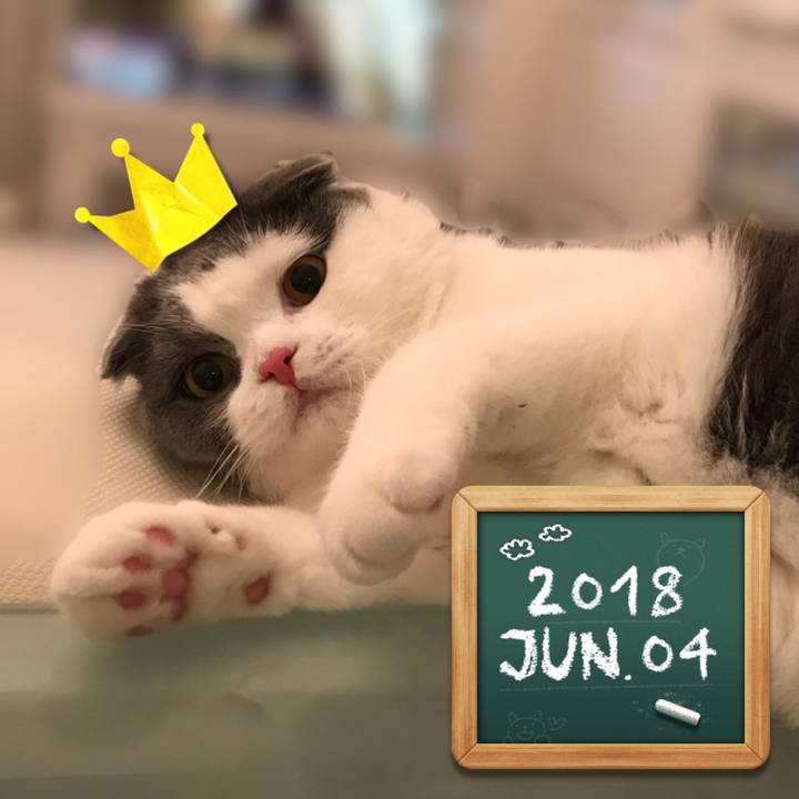 Dd29c07f b27b 414e a101 72195794c94b 1528113932935