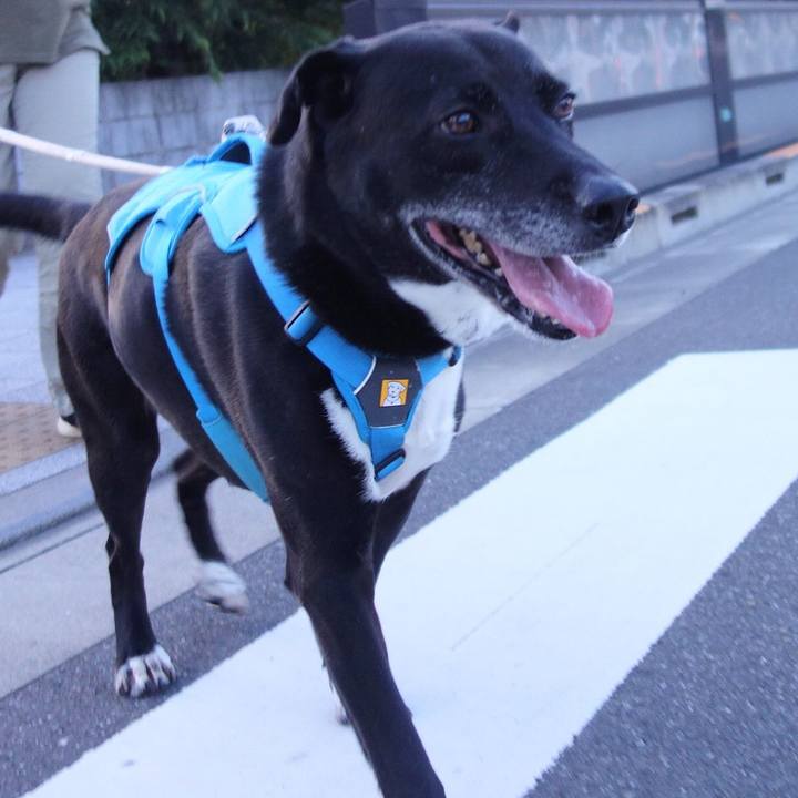 Dd29f30c 1183 4dd1 8f51 a346d0ed0140 1687258414659