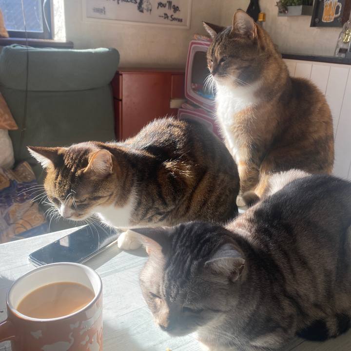 Dd29fd30 11f0 4951 a273 ef4eb29c635f 1671927837578