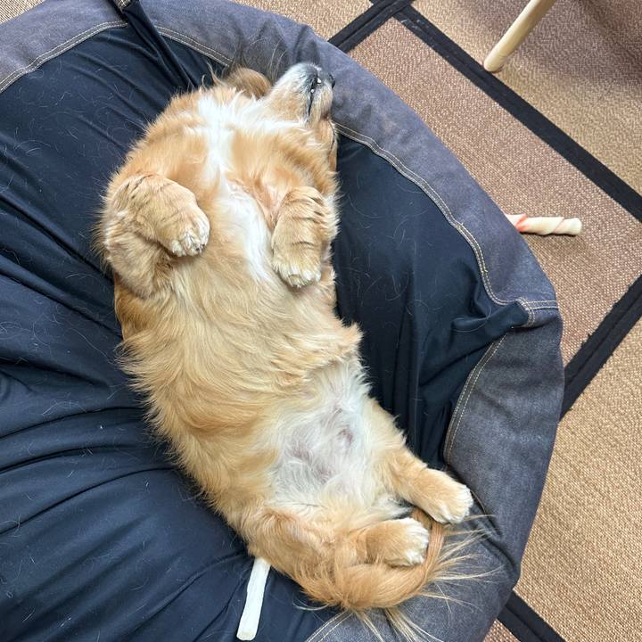 Dd2a4e5a ab15 4f97 8eaa c16fc1ecc7c1 1715116930276