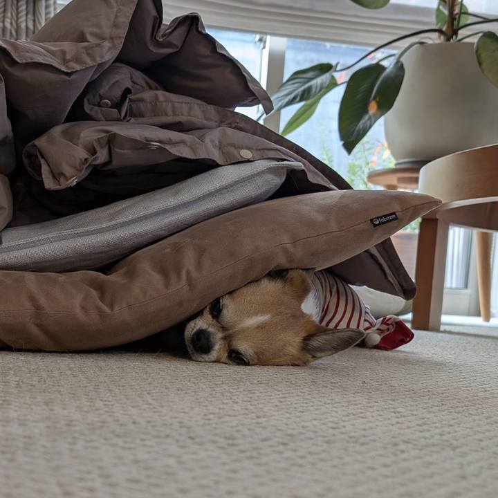 Dd2a5738 c216 45a5 b2f8 e9cbcdc0012b 1764199870300