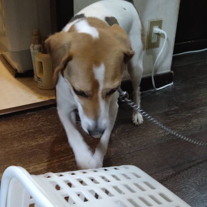 Dd2a83bf 2e0c 4282 b574 fa7f83f812a9 1626239211688