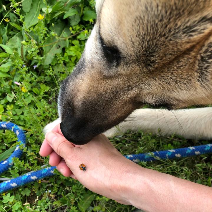 Dd2a90f3 46ca 4316 84ea b8ae5dfebd37 1556959160503