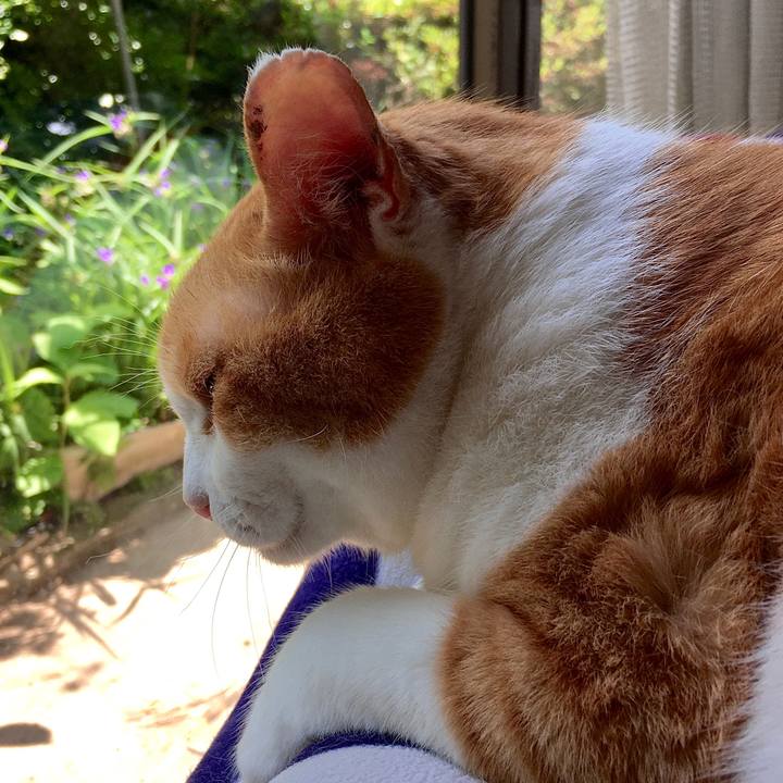 Dd2aa092 b0a2 4feb b5f2 faaef95d9efb 1591254860695