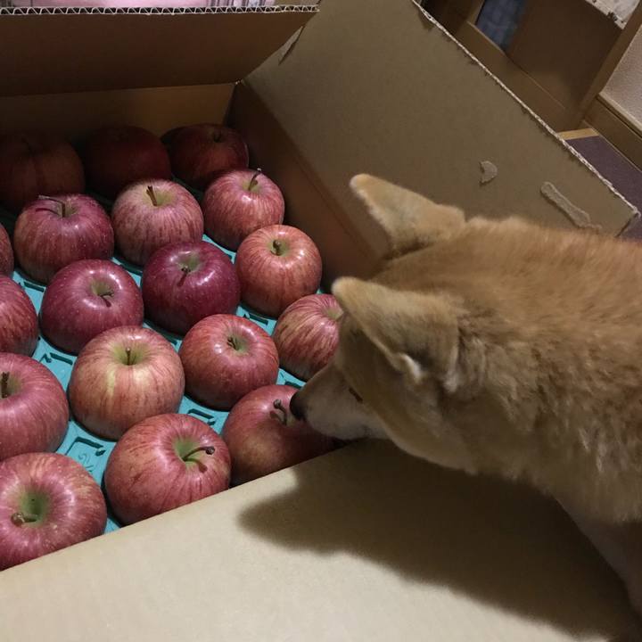 Dd2aaaaa c7d5 419e 8178 a7c810431ec7 1512645306883