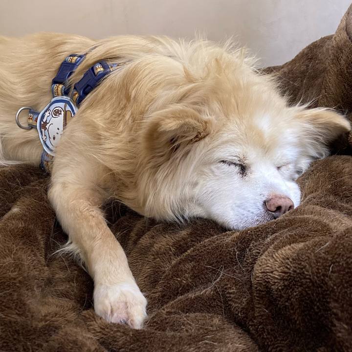 Dd2ac7fa 202f 433c 8c77 dca920a2cf48 1713257811213