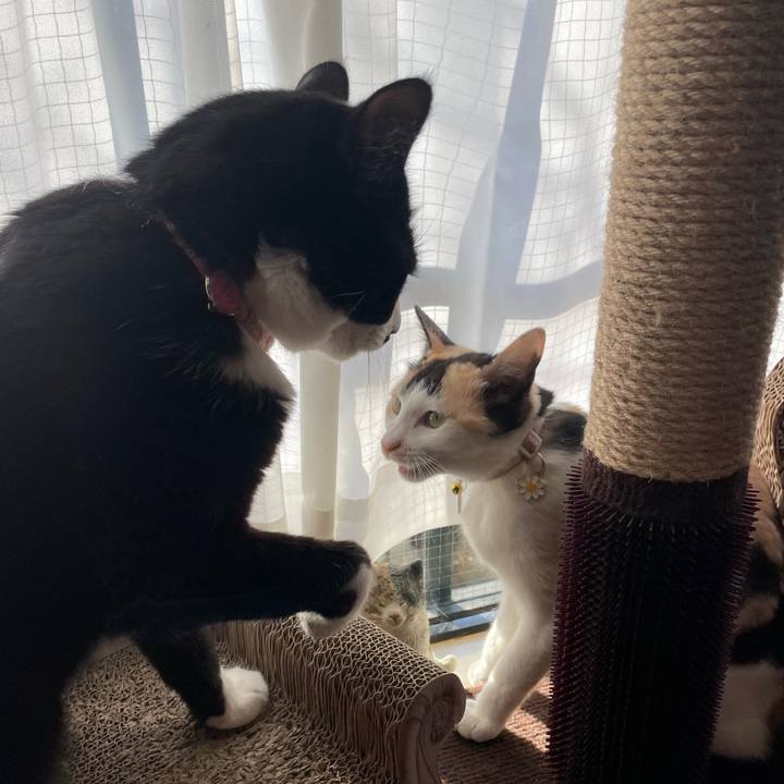 Dd2ae8fe a7b1 41ef a142 fb8a9b23deaf 1677280049653