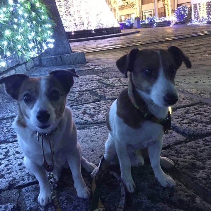 Dd2af140 58d3 496a 9ef9 26b1913feac2 1512219902927