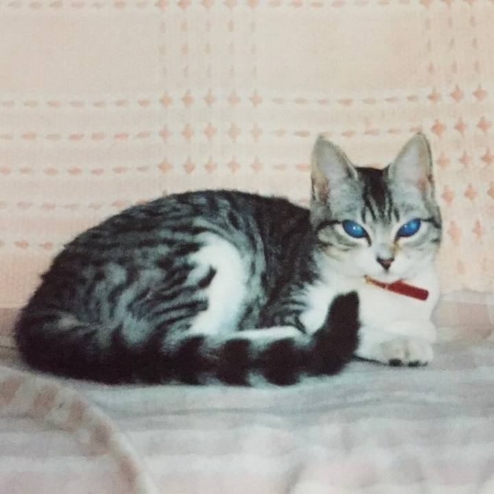 Dd2afb9c a251 4764 8d38 daf2ff513e1b 1569065849555