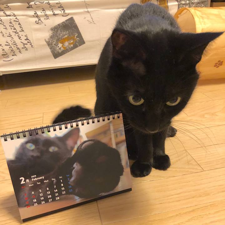 Dd2b2be2 df24 45df a3b8 e3a336469362 1549550604869