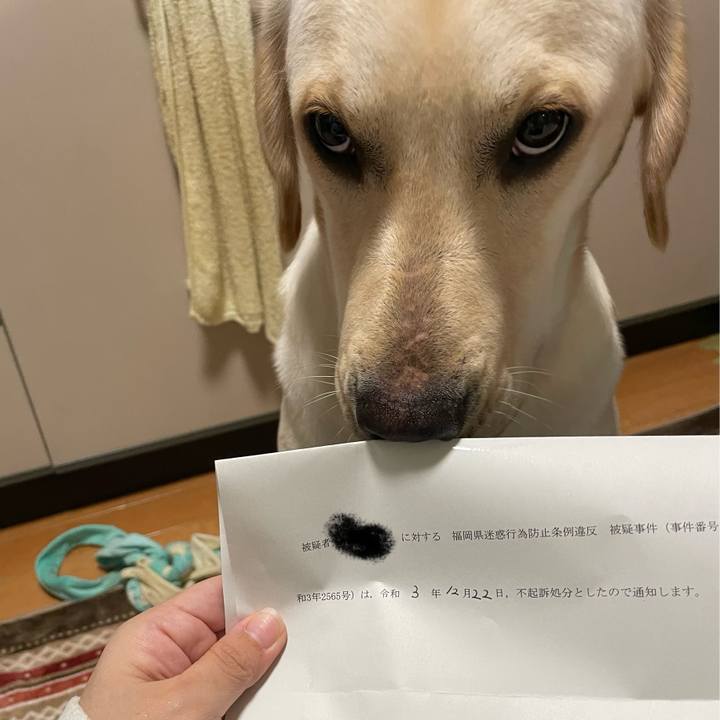 Dd2b3798 8434 4c8a 85ec 6fe1aac96fed 1640698622952