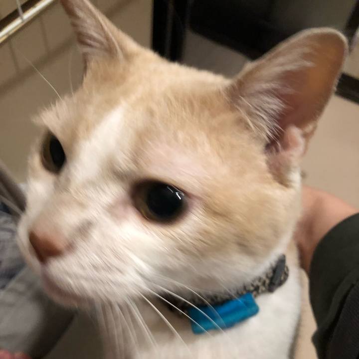 Dd2b7445 8d14 4741 8479 5fe834b1308d 1608809094528