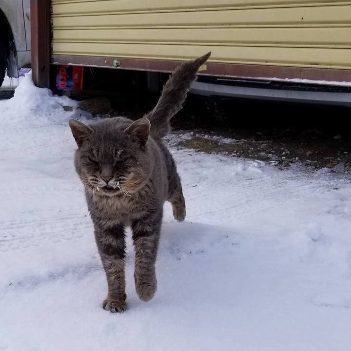 Dd2b792d 0792 44a2 9899 92ff7ee51b36 1548198870685