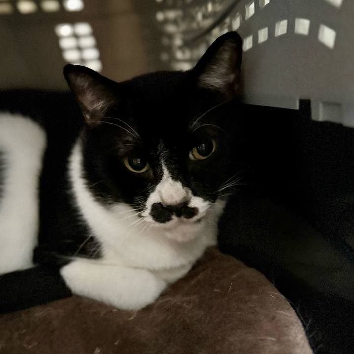 Dd2b84ab eee5 4b81 91ac f1a1c54861a6 1758847564626