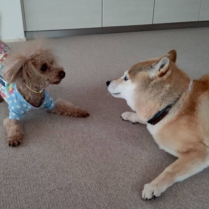 Dd2b9799 cd78 4075 add1 cad516ff62f3 1618298041994