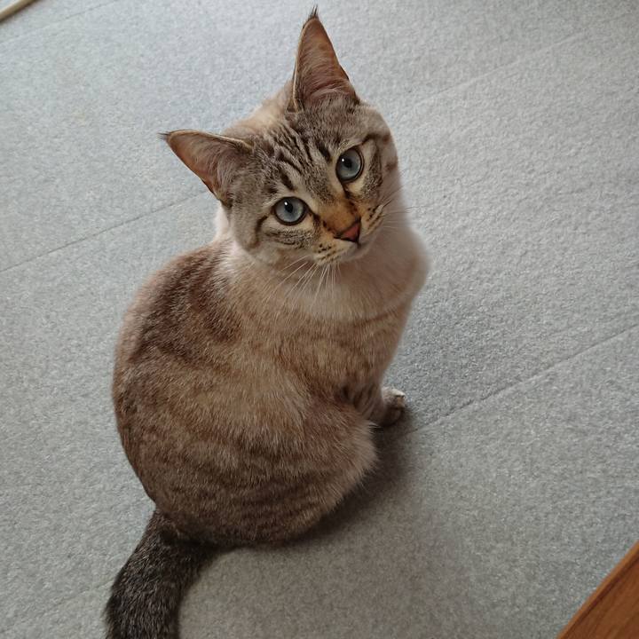 Dd2ba9a2 34d7 47a3 bb7a 9a8b7a79a9e1 1518492320160