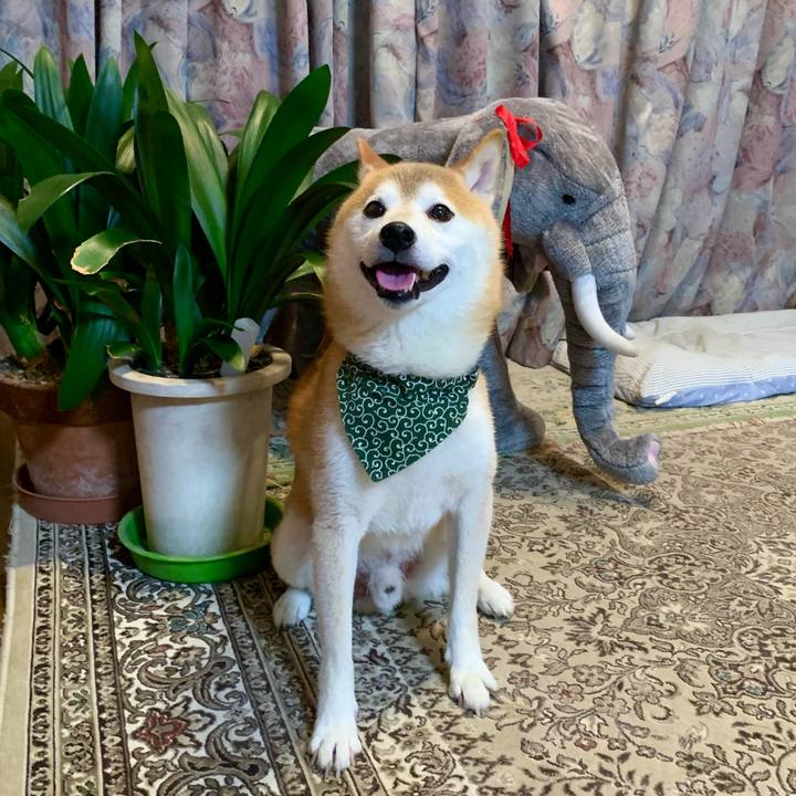 Dd2baddc 034f 45df acd1 5df975f955f1 1661337975280