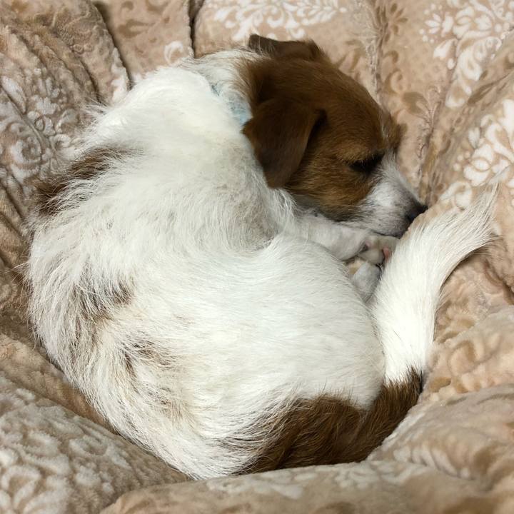 Dd2bb49c 73cb 4554 b5c5 8aad62a0b269 1515912050916