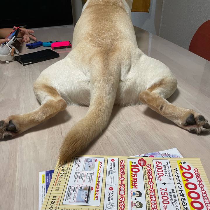 Dd2bd228 c3b0 4cd2 b512 48f3acbaeb72 1663294596797