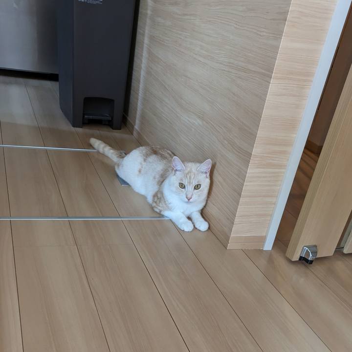 Dd2be795 bad0 4440 9e9d 045da4613deb 1690247302966