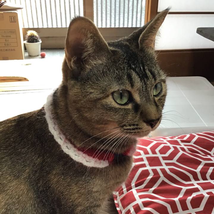 Dd2c3874 3026 4381 b7c3 e46dac6a8970 1610685196655