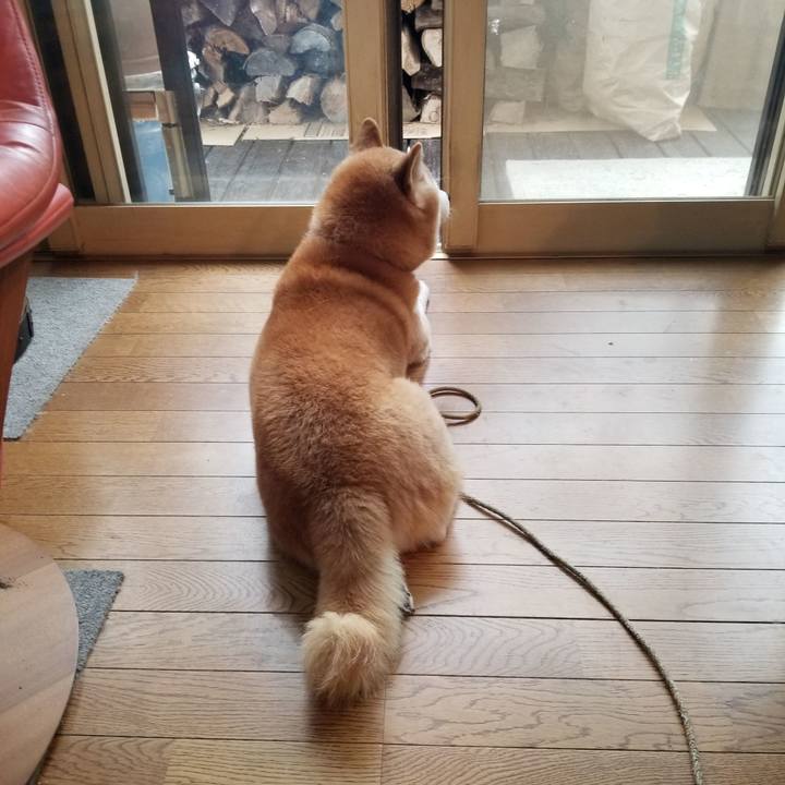 Dd2c9a17 70b0 4ee5 af35 c85b98b85fe2 1697339589501