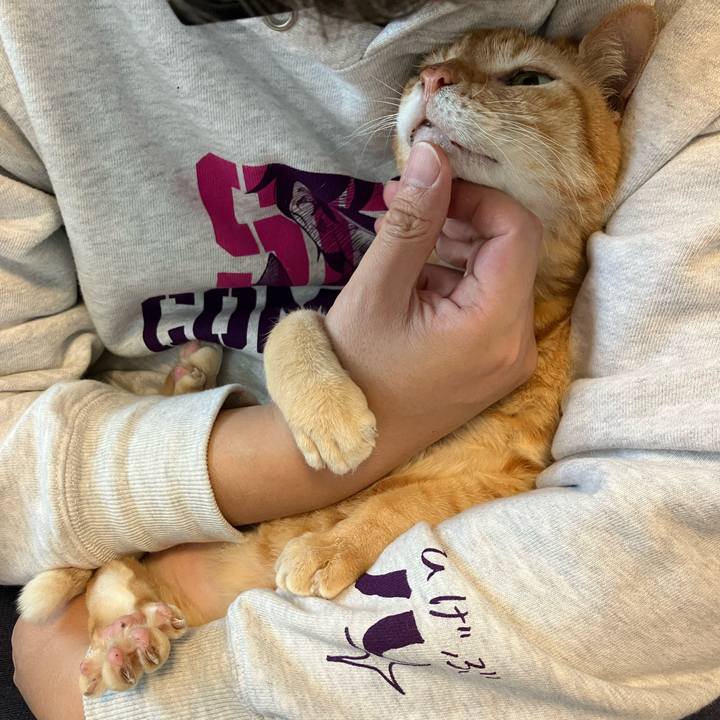 Dd2cace4 2080 4b7e a7a5 d40a75f468b5 1766277622113