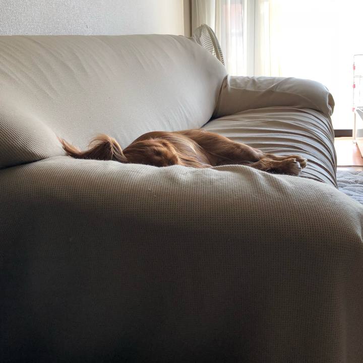 Dd2ccb6c 4e94 4241 a4f2 cfca2a20d272 1541920325758