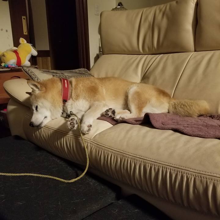 Dd2cdffc 0ed7 4063 9ad8 058f5d8c4a9b 1725959465340