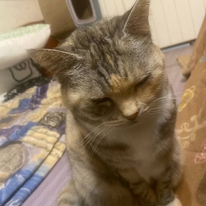 Dd2d0d57 18d1 4c38 b4b4 84a88d466f27 1670272683068