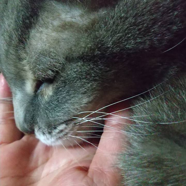 Dd2d1de5 54fc 4d27 b5c9 daf0c831e136 1610884254113