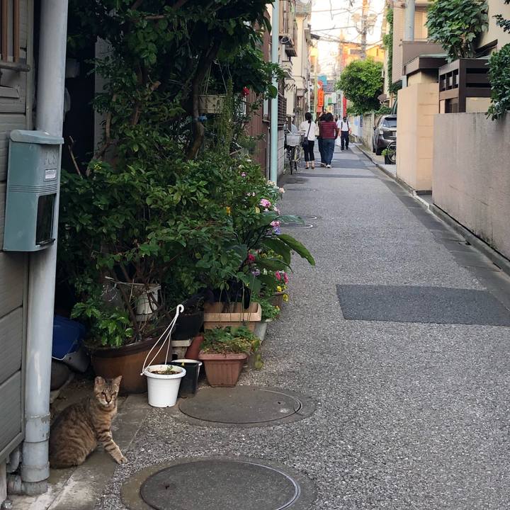 Dd2d4f39 8ce7 4684 a680 d5b31692a499 1527941636044