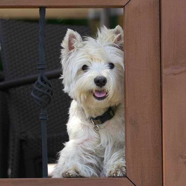 Dd2d55fd 4c27 4444 802d 0ea11c1a66ef 1526857883393