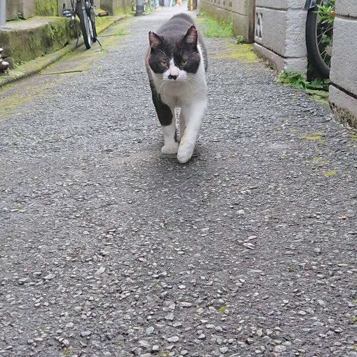 Dd2d7c6b bc8e 4d7f 9803 244c03af655e 1658827373179