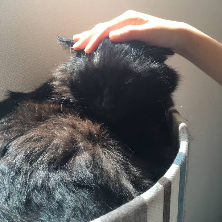 Dd2d9976 818f 48da abb2 160f7c3eb49c 1533610544153