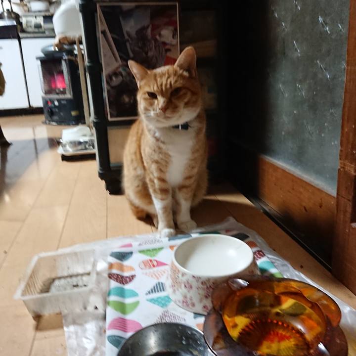 Dd2da11b 9326 4dbb bd81 fc281a51a495 1607716522057