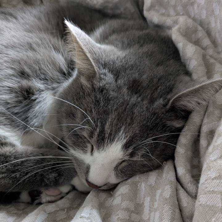 Dd2ddc05 a4b3 4a94 8ef2 1c1bbf0781e3 1766541758862