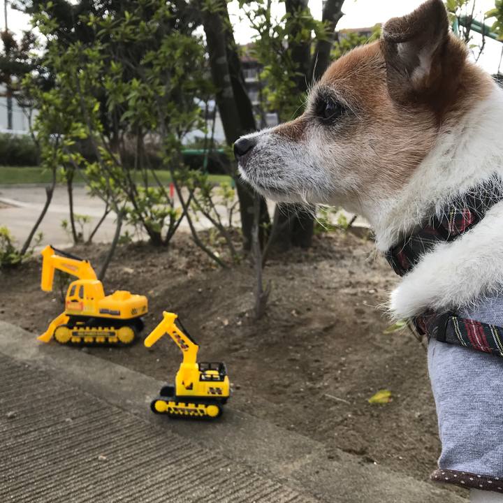 Dd2de65a a638 4d32 87c0 6bd338e1328a 1603325797030