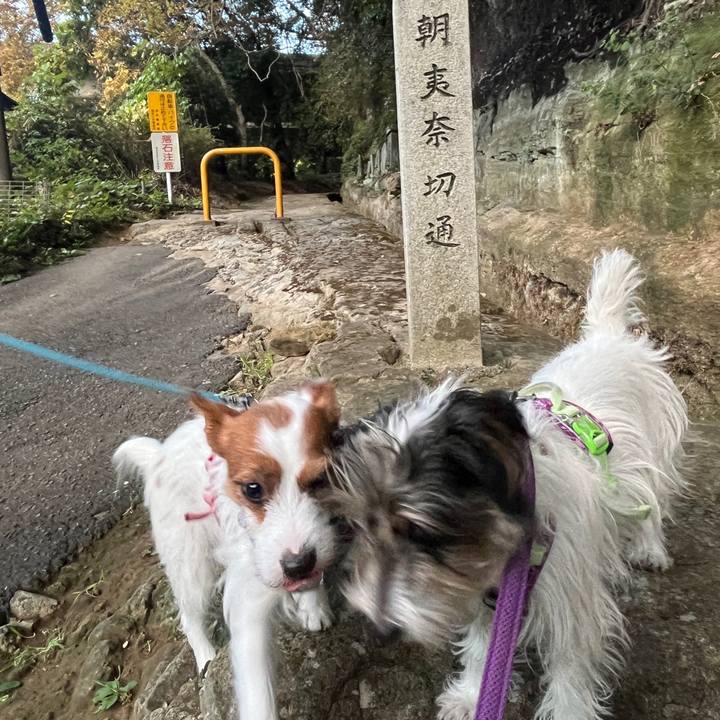 Dd2def6f 72f4 4a82 8353 9929fbede249 1763961170085