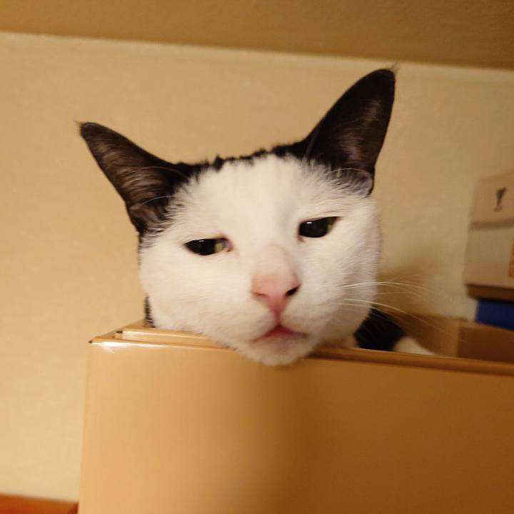 Dd2df43e 4212 4c5c 9964 a321c34b92dc 1728374423626