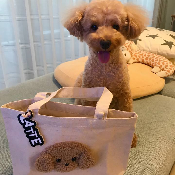 Dd2dfbd3 a57d 40d1 bc0c e48003e42cf1 1600075233531